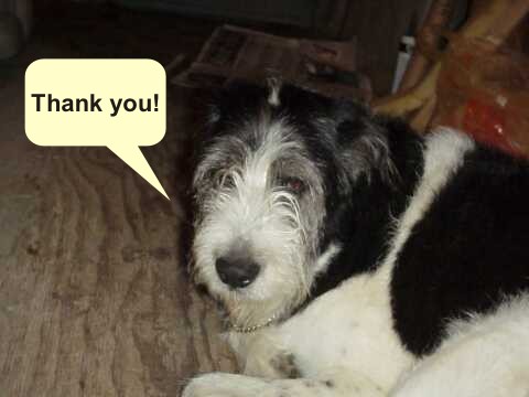 Thank you!